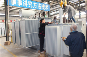 S13-2500KVA/20/0.4電(diàn)力變壓器(qì)